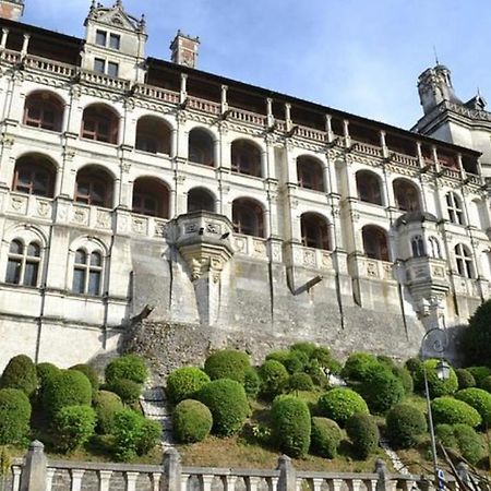Appartement Coeur De Blois /Heart Of The City Екстер'єр фото