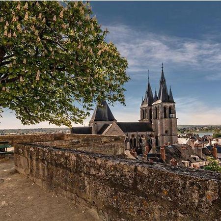 Appartement Coeur De Blois /Heart Of The City Екстер'єр фото